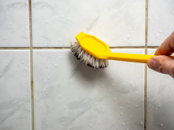Best Water Damage Restoration  in Brooklyn, OH