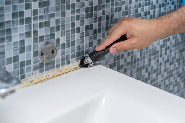Best Black Mold Removal  in Brooklyn, OH