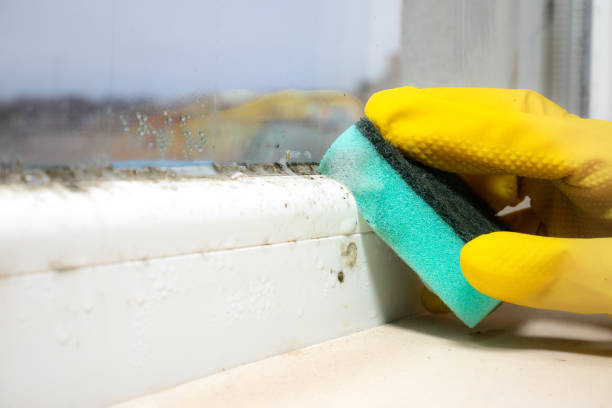 Best Office Mold Removal Services  in Brooklyn, OH