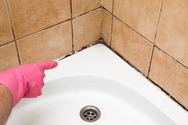 Best Attic Mold Removal  in Brooklyn, OH